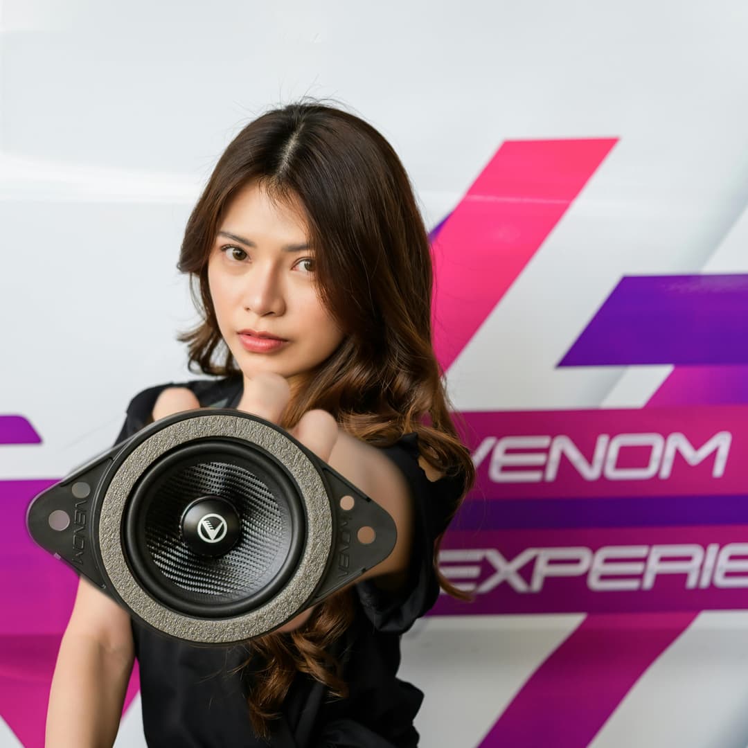 car speaker